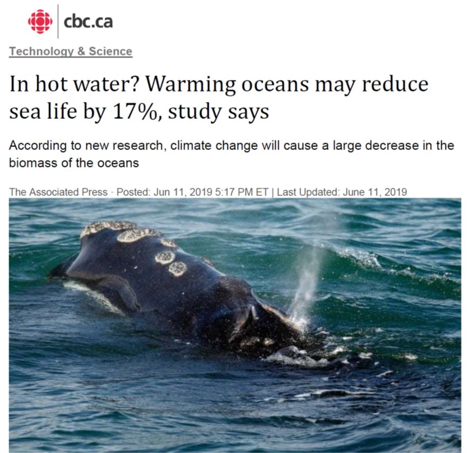 2019_CBC News In hot water
