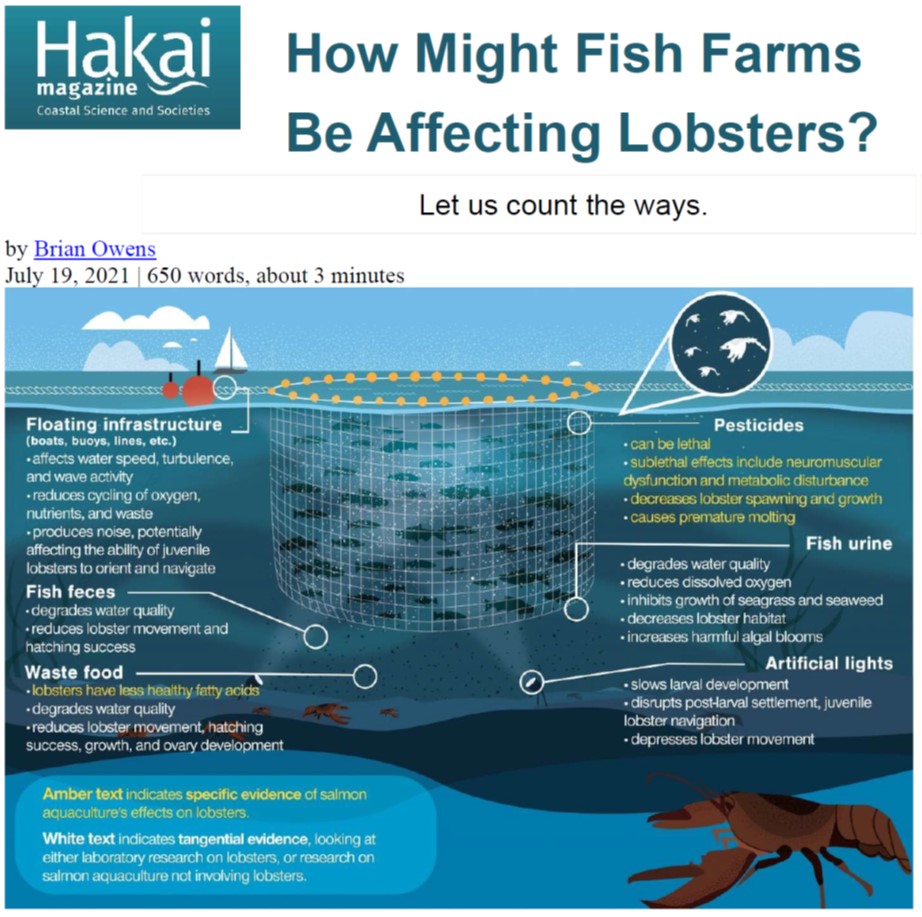 2021_Lobster-Aquaculture_Hakai