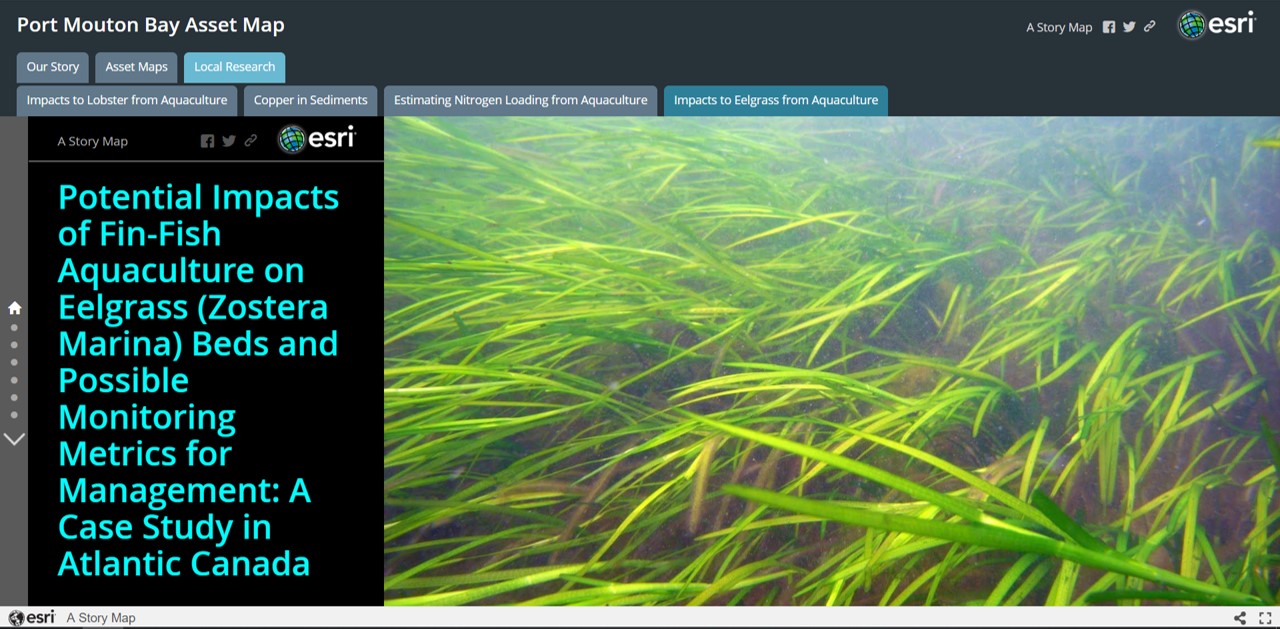 Port Mouton story map_eelgrass_May 2019